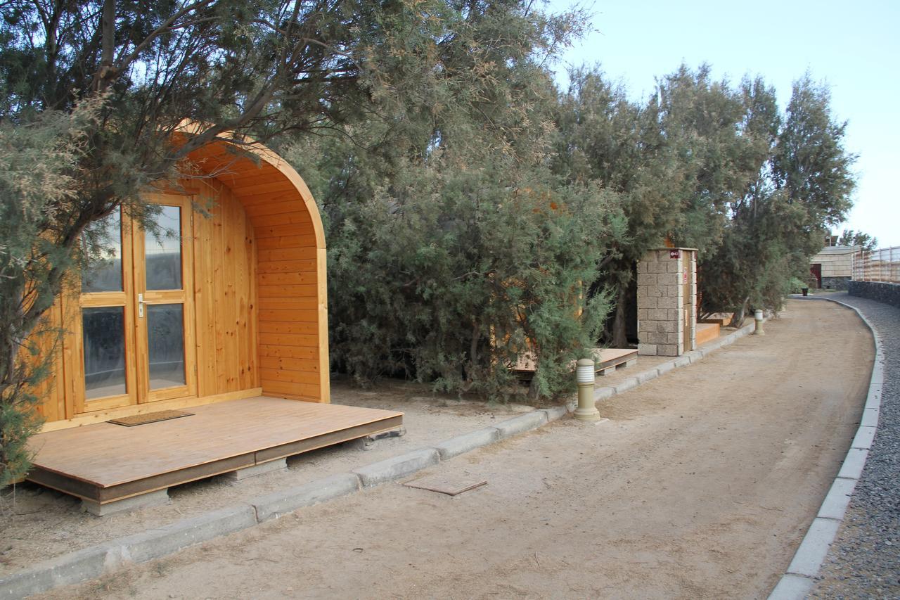 Eco-Wooden Houses Camping Montana Roja El Médano Exteriör bild
